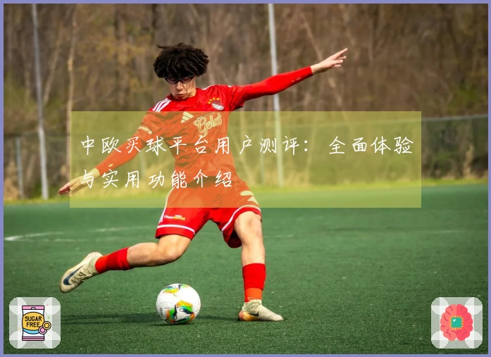 中欧买球平台用户测评：全面体验与实用功能介绍
