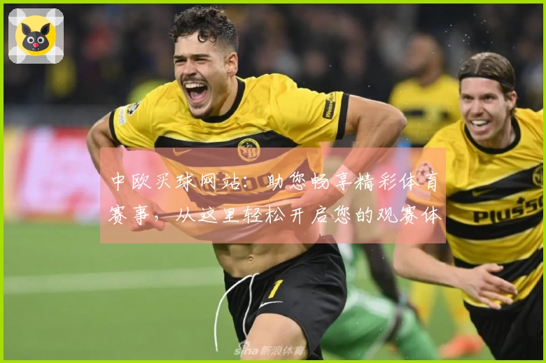 中欧买球网站：助您畅享精彩体育赛事，从这里轻松开启您的观赛体验