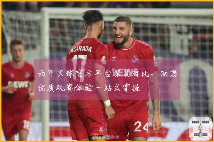 西甲买球官方平台深度对比，助您优质观赛体验一站式掌握