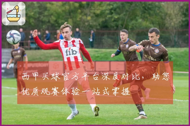 西甲买球官方平台深度对比，助您优质观赛体验一站式掌握